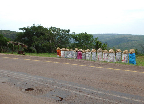 Bags of Rocks (for sale).